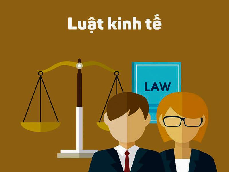 nganh luat kinh te hoc o dau